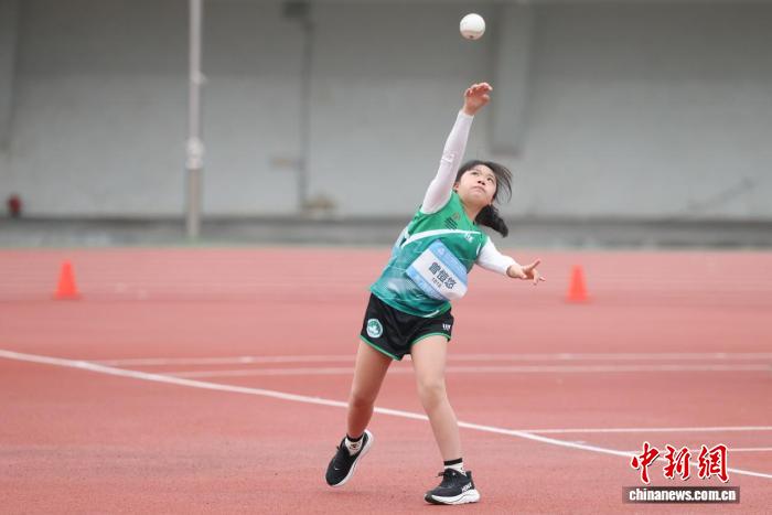 陪伴是特奥赛场上最温柔的胜利：见证孩子们的